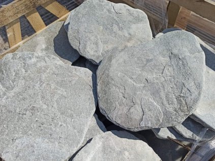 9a9c9cd6 b004 4c4c a1f9 fe825d0434b9