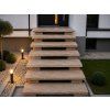 Schod Sahara Gold