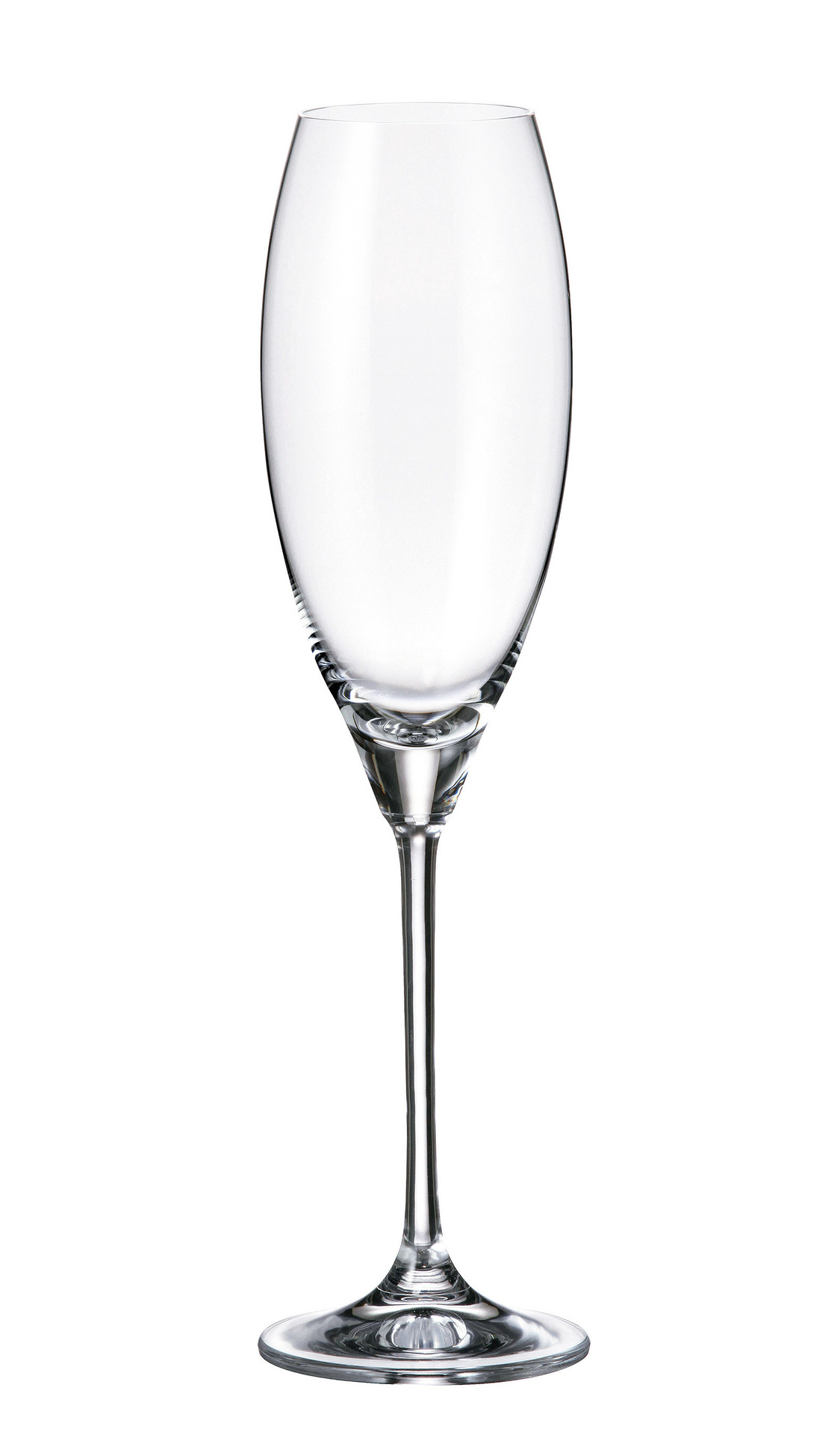 Crystalite Bohemia sklenice na šampaňské Carduelis 290 ml 1KS