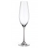 Crystalite Bohemia sklenice na šampaňské Columba 260 ml 6KS