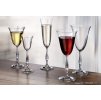 Crystalite Bohemia sklenice na víno Fregata 250 ml 6KS