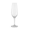 Crystalex sklenice na šampaňské Amoroso 200 ml 2 KS