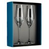 Element sklenice na šampaňské Apollo s krystaly Swarovski 210 ml 2KS