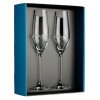 9029 1 element sklenice na sampanske apollo s krystaly swarovski 210 ml 2ks