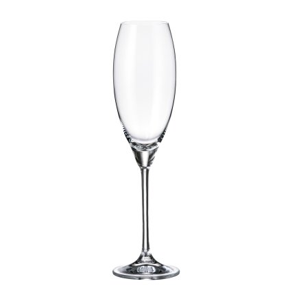 6090 crystalite bohemia sklenice na sampanske carduelis 290 ml 2ks