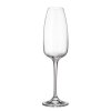 2192 crystalite bohemia sklenice na sampanske anser 290 ml 6ks