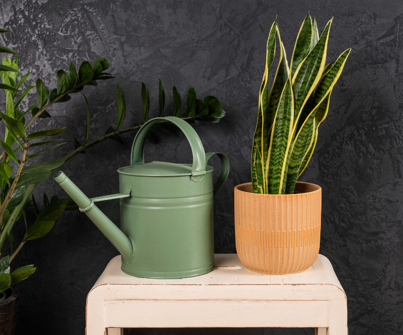 Betónová stierka Grafit