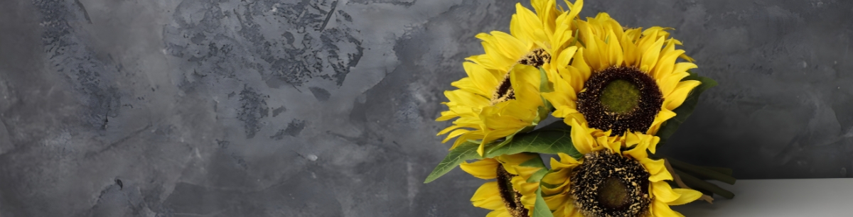 Velkoobchodní spolupráce