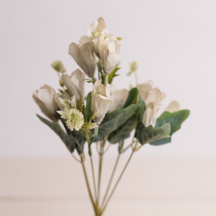 a805d851 a57e 4bee af6d 392ab5a1364f