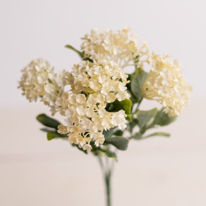 83f82235 0880 46d5 bf21 2393eb5ceabd