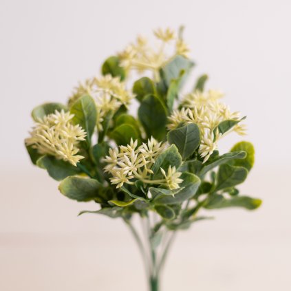 183f15b6 4c43 481a 8eff 68e682d9fb29