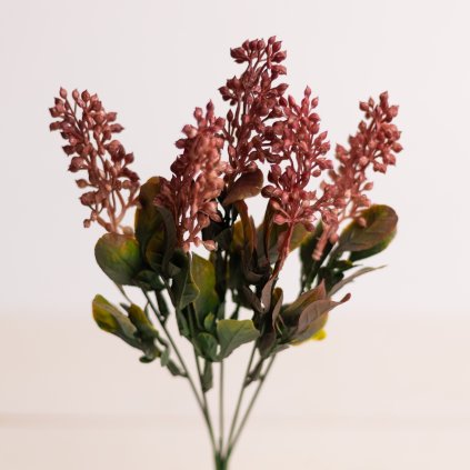 b645f455 cf4c 4a34 8d2c 5e841ba2500e