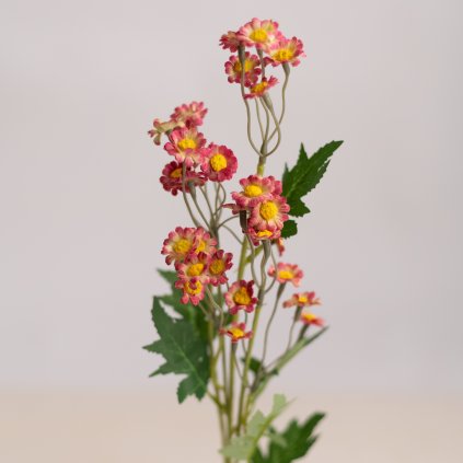 3a51dff3 6919 4c5f b5a5 7754560c6d55