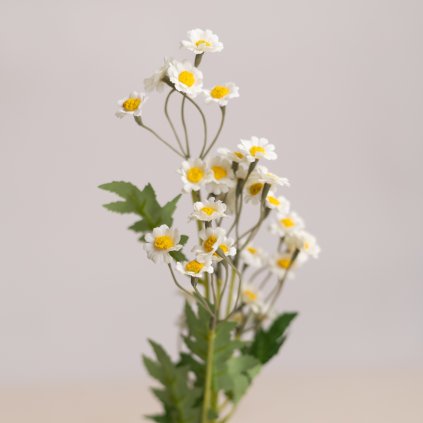 877fcc2e 8791 43cb bc8c a3681b5a85f5