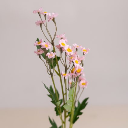 ba23c06e 1e1f 465d 919f 1e085db9ea63