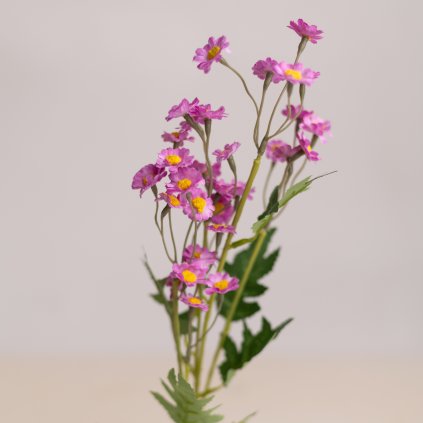 563500ad fa9a 4084 ab4b db082983c7b7