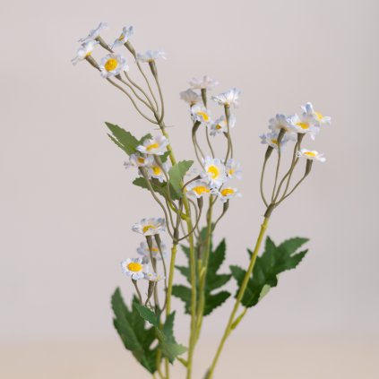 7c9c4ded f1b7 4921 a976 9b5a3a1e3a24