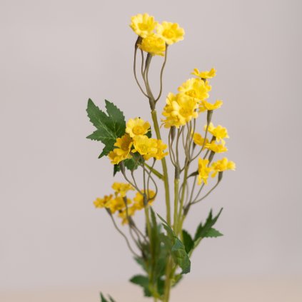 585a287c 3c74 4644 908e bd6ce7025e00