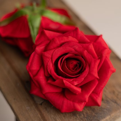 f4b126b8 3186 4eda ab01 5e270b7a1d7f