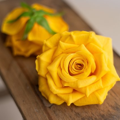 abaf81a3 650d 4a2b b03b d7d632fd5a43