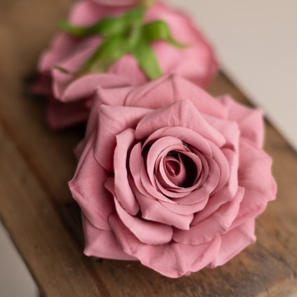 e1dfb965 2d26 4b92 9897 6d1c6c71fe6f