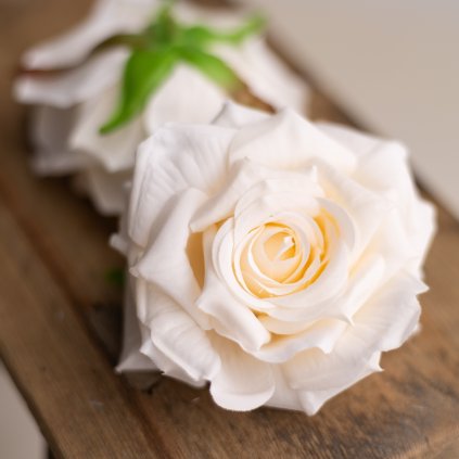 2173d72d 504f 4d1b 8aa7 55a24fc2bdba