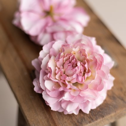 d3fdc283 ee76 484e bd39 e8ca24cc5e17