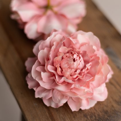 06b71941 e5a2 431d a55c 5746e41a938f