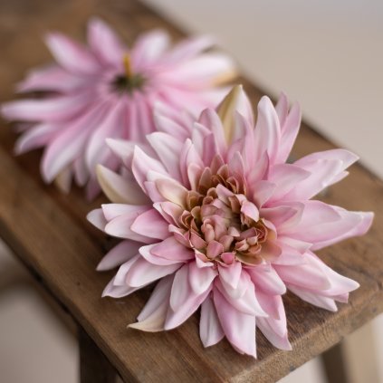 e7a4b5d2 7650 4a61 84b2 2fba682b3fed