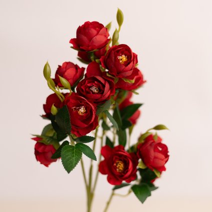 235b9f8a 8d65 4bff 9937 623f0b80d90a