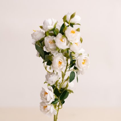 9a8f599e 6a6e 40e5 bf7d dcb91fda697a