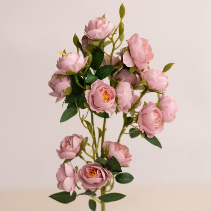 c6b5644e 85b9 4ba6 8963 1cb19f4ee13b