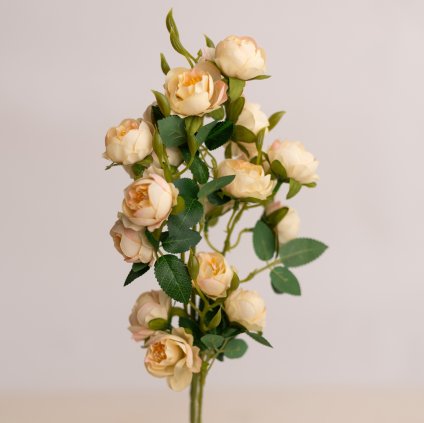 c9db14aa 2d56 4d73 8048 e99405c819b0