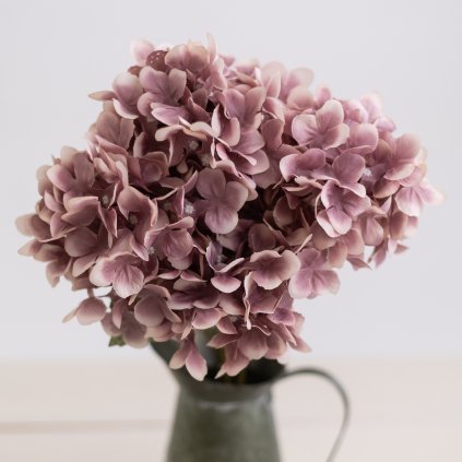 8fc420eb e678 4781 8fdd 3e4f84792a6c