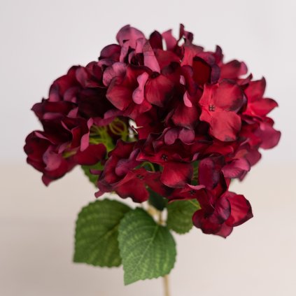 15cf0a20 1087 4338 b8bc 2d19e15ad5da