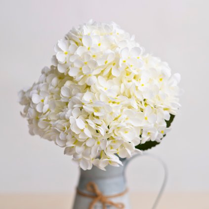 68516e31 e207 473b be54 e3da7606e2b2