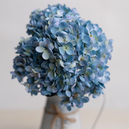 6cc61eb7 d85e 41a0 9d6d 36a866362e9d