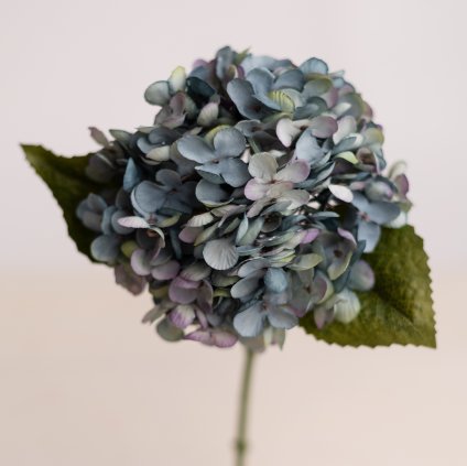 a0ba7250 10ef 4787 8ff8 14909435256d