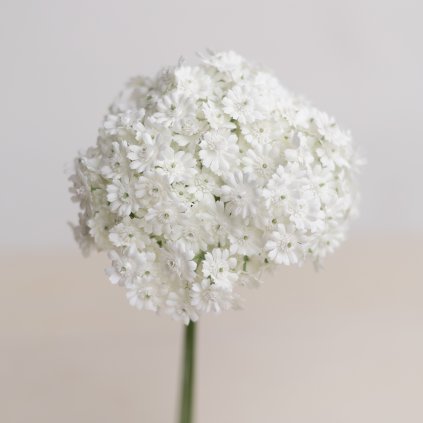 3f563426 d9c4 470c bbba dd950dcd0114