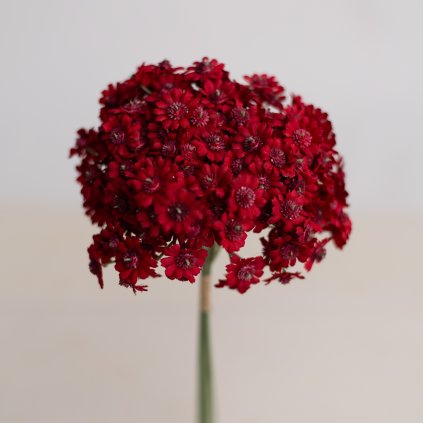 53218381 ea01 4e19 8a22 4eca0a72ef70