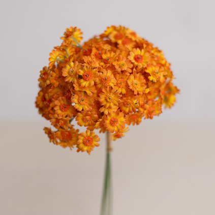 fc40e9ed 393b 49f7 9eb3 0b76069847cd