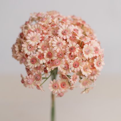 2291f97f b510 4d90 9fbd 115912c89e7e