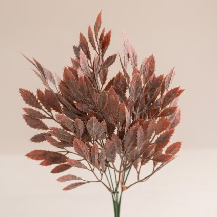 b0edb062 ea91 4dba 9644 a0dcfdc9876c