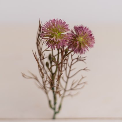 4da90cfc df27 4e3e a011 4714fa0485cb