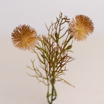 f8fee67a c995 456b 86ce 4f09dcdaafa3