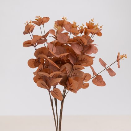 cc57aa94 723a 44f3 af6f cc643dc9cfe4