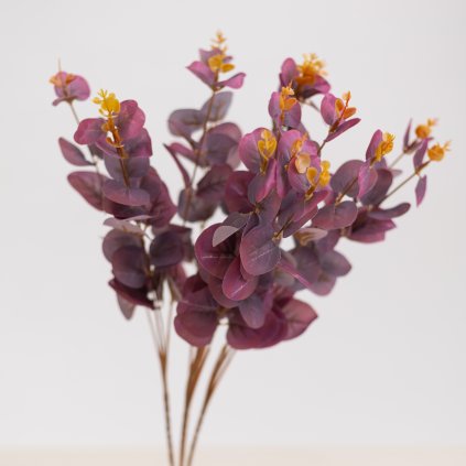 01bfcce4 6e21 4f9a b433 bd0526fc284f