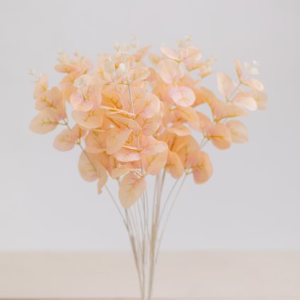 c9b60cd8 157c 4643 9630 40636dd33514