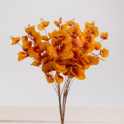 174b4262 cc9f 43a0 be24 ce91826a7db3