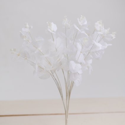 4e822c53 da1d 4f46 9fd4 c2db420c4e00